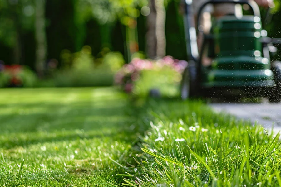 rechargeable lawn mowers